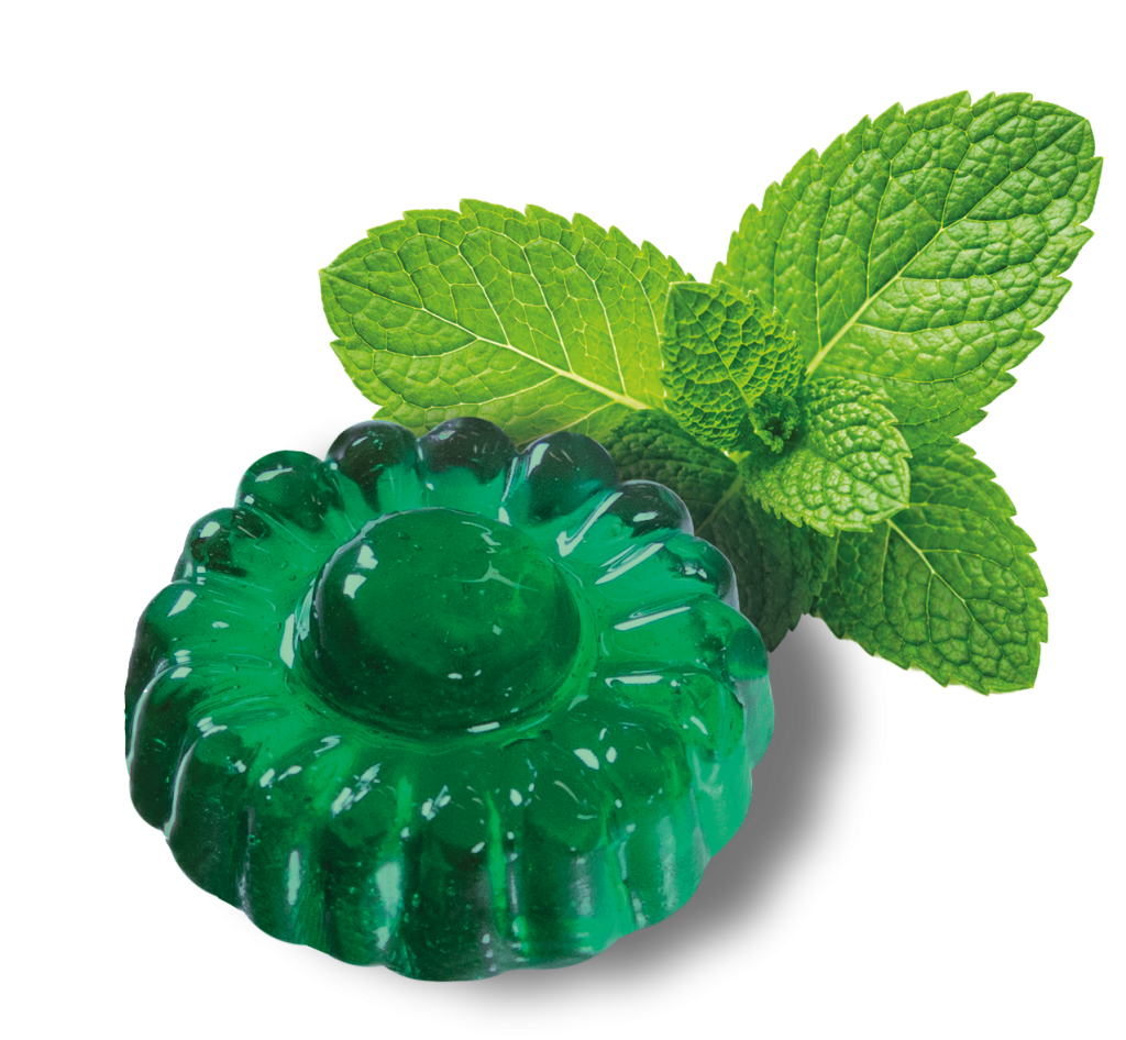 montage menthe