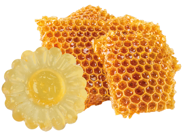 pastille miel ruche